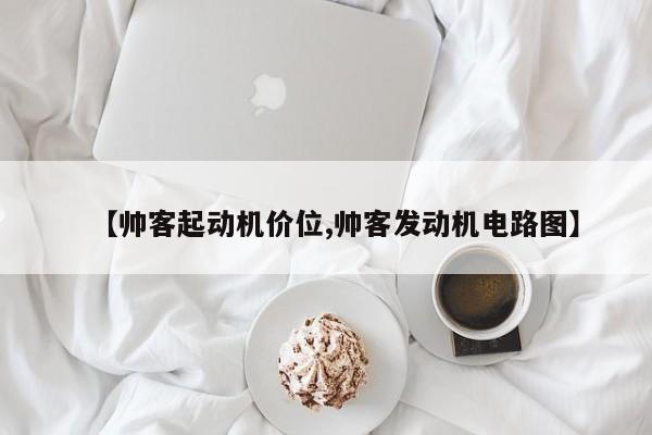 【帅客起动机价位,帅客发动机电路图】