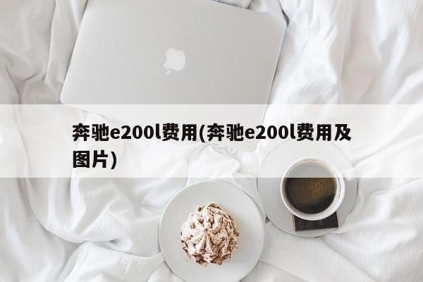 奔驰e200l费用(奔驰e200l费用及图片)