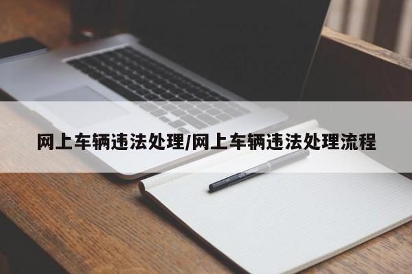 网上车辆违法处理/网上车辆违法处理流程