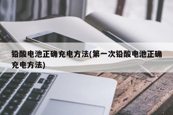 铅酸电池正确充电方法(第一次铅酸电池正确充电方法)