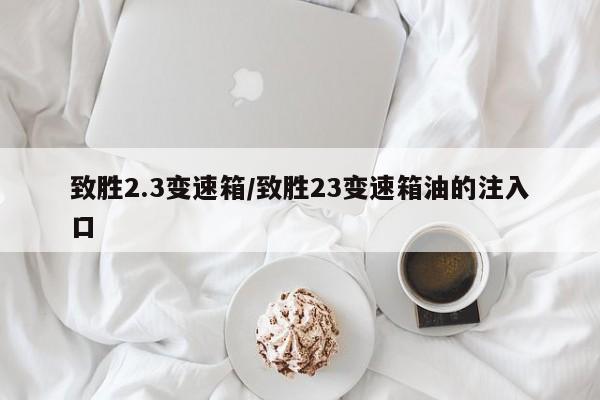 致胜2.3变速箱/致胜23变速箱油的注入口