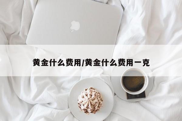 黄金什么费用/黄金什么费用一克
