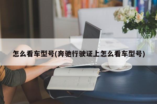 怎么看车型号(奔驰行驶证上怎么看车型号)