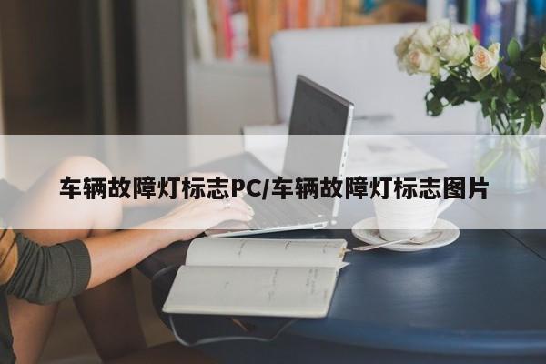 车辆故障灯标志PC/车辆故障灯标志图片
