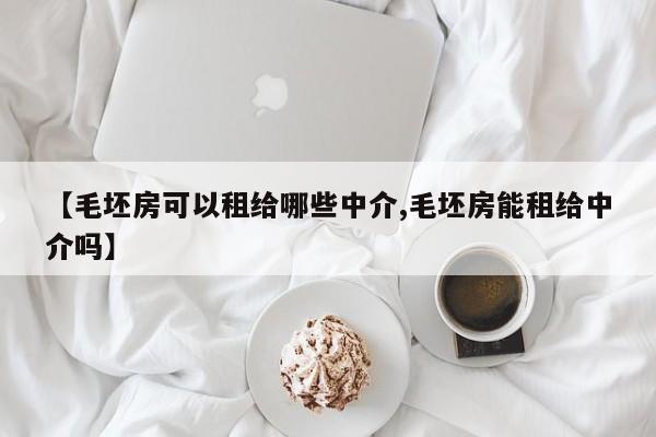 【毛坯房可以租给哪些中介,毛坯房能租给中介吗】