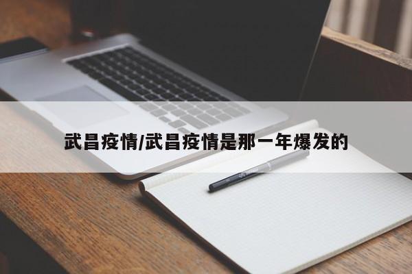 武昌疫情/武昌疫情是那一年爆发的