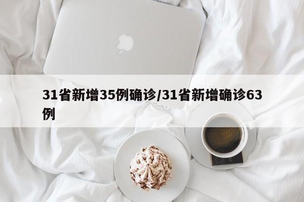 31省新增35例确诊/31省新增确诊63例