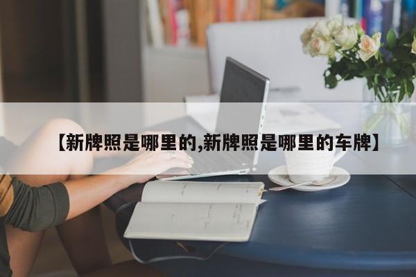 【新牌照是哪里的,新牌照是哪里的车牌】