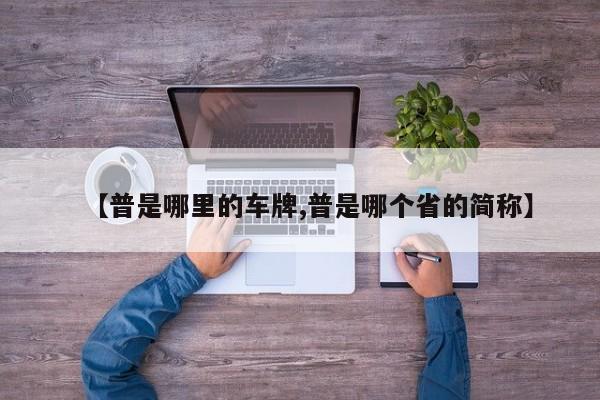 【普是哪里的车牌,普是哪个省的简称】