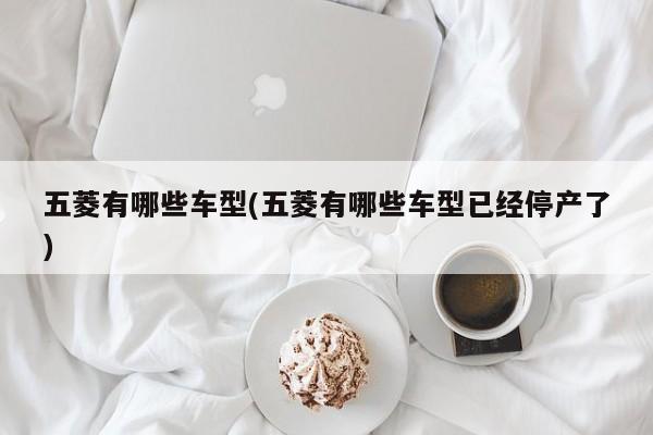 五菱有哪些车型(五菱有哪些车型已经停产了)