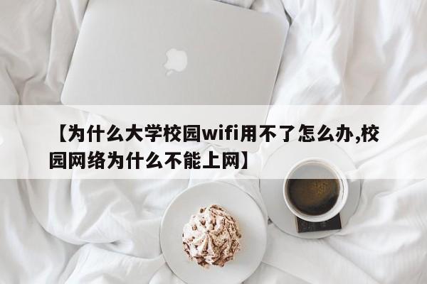 【为什么大学校园wifi用不了怎么办,校园网络为什么不能上网】