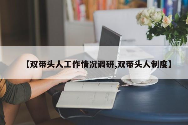 【双带头人工作情况调研,双带头人制度】