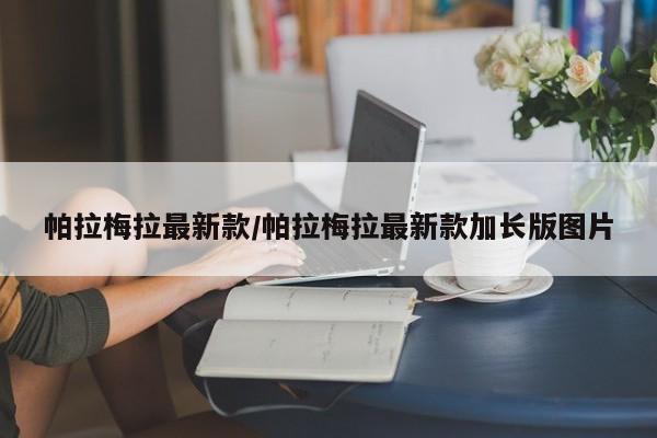 帕拉梅拉最新款/帕拉梅拉最新款加长版图片