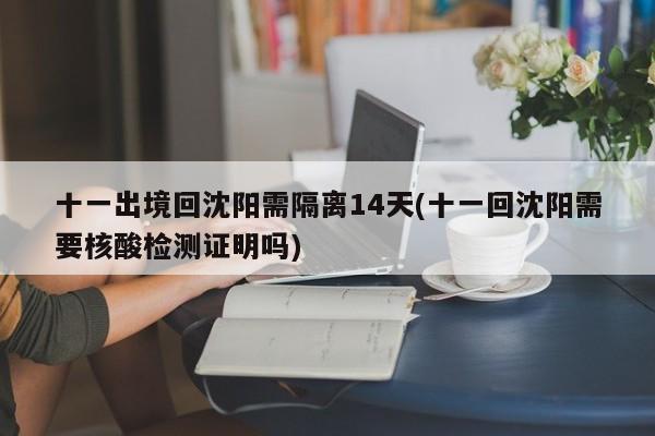十一出境回沈阳需隔离14天(十一回沈阳需要核酸检测证明吗)