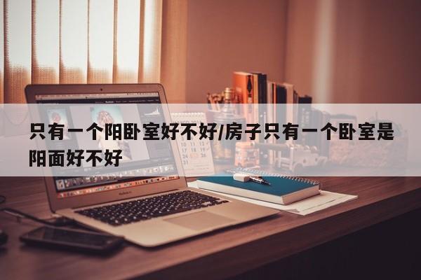 只有一个阳卧室好不好/房子只有一个卧室是阳面好不好