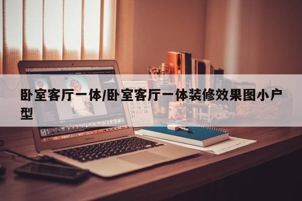 卧室客厅一体/卧室客厅一体装修效果图小户型