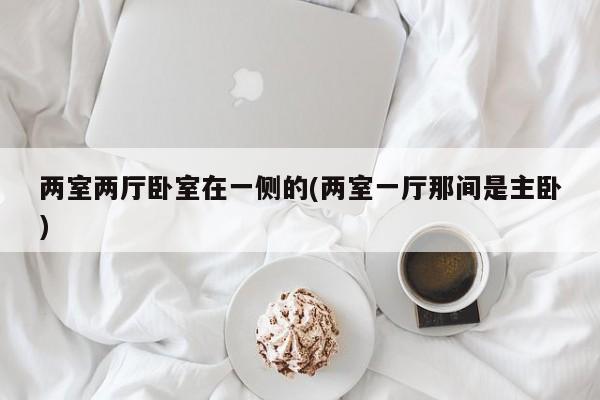 两室两厅卧室在一侧的(两室一厅那间是主卧)