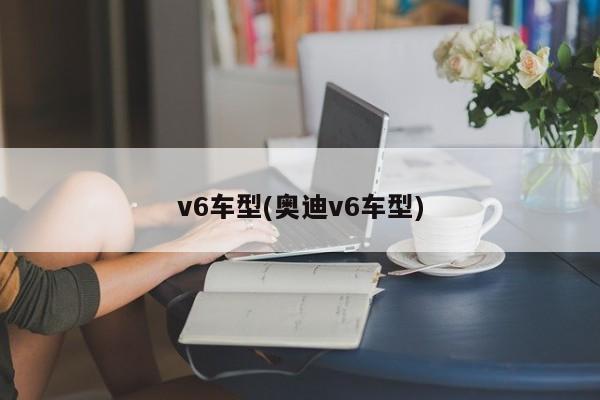 v6车型(奥迪v6车型)