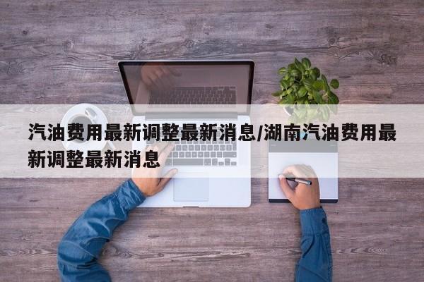 汽油费用最新调整最新消息/湖南汽油费用最新调整最新消息