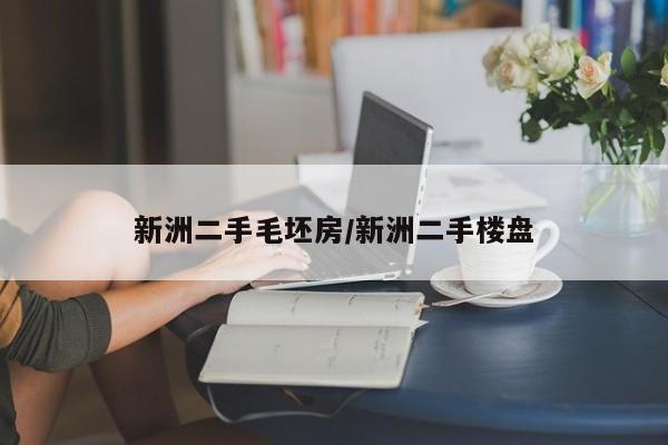 新洲二手毛坯房/新洲二手楼盘