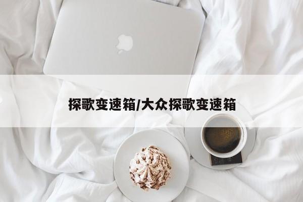 探歌变速箱/大众探歌变速箱