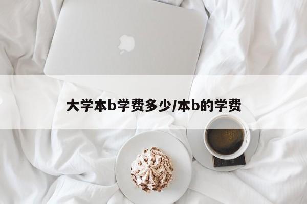 大学本b学费多少/本b的学费
