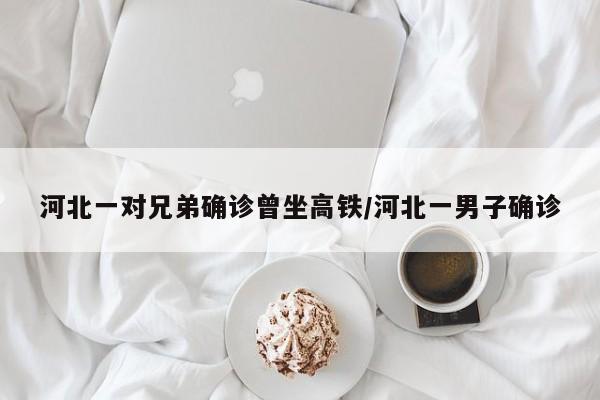 河北一对兄弟确诊曾坐高铁/河北一男子确诊
