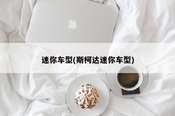 迷你车型(斯柯达迷你车型)