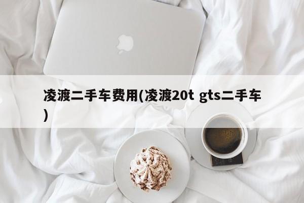 凌渡二手车费用(凌渡20t gts二手车)