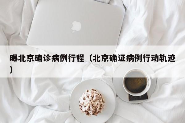 曝北京确诊病例行程（北京确证病例行动轨迹）