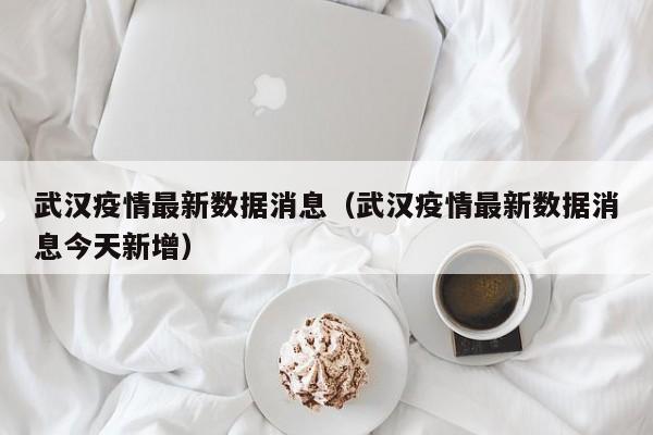 武汉疫情最新数据消息（武汉疫情最新数据消息今天新增）