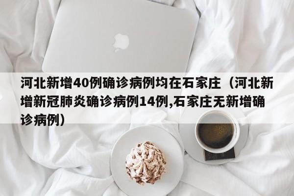 河北新增40例确诊病例均在石家庄（河北新增新冠肺炎确诊病例14例,石家庄无新增确诊病例）