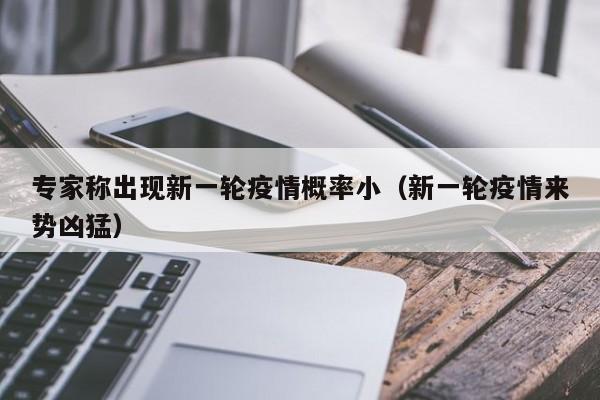 专家称出现新一轮疫情概率小（新一轮疫情来势凶猛）