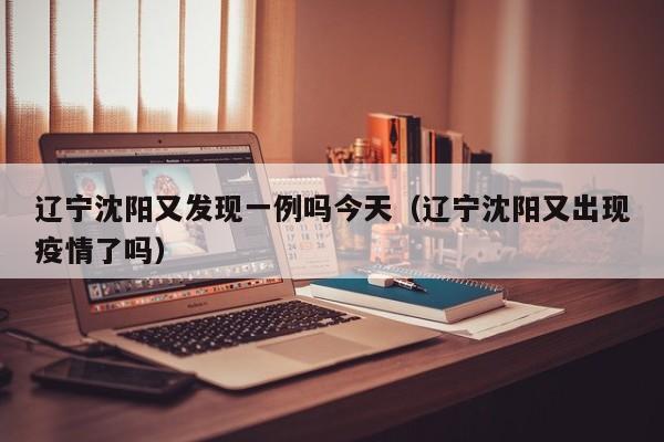 辽宁沈阳又发现一例吗今天（辽宁沈阳又出现疫情了吗）