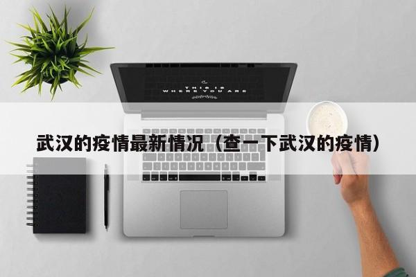 武汉的疫情最新情况（查一下武汉的疫情）