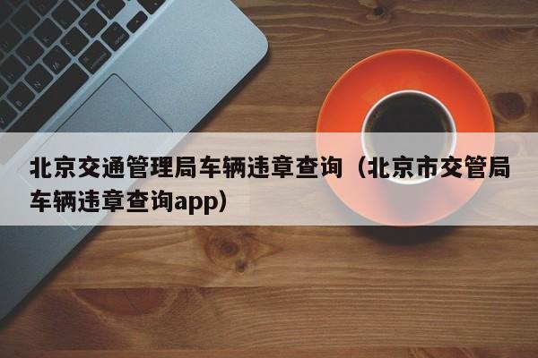 北京交通管理局车辆违章查询（北京市交管局车辆违章查询app）